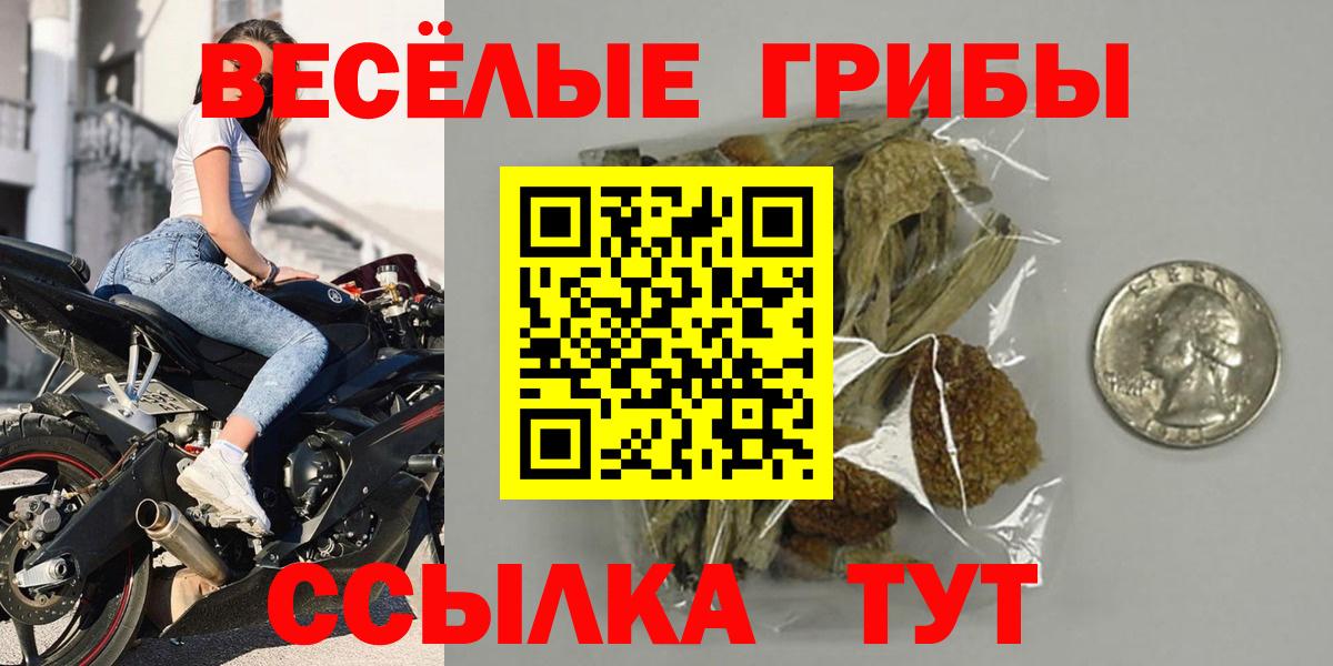 Галлюциногенные грибы Cubensis Норильск