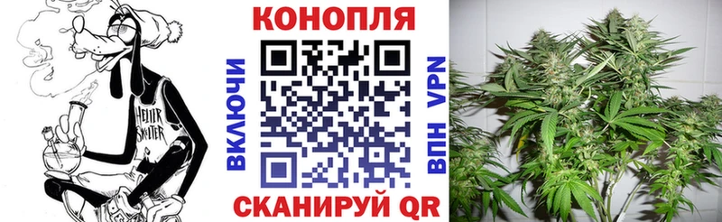 Шишки марихуана Amnesia Норильск