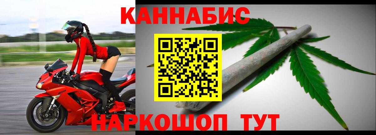 Шишки марихуана семена Норильск